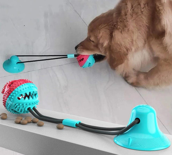Dog Toy Suction Cup Tug-o-war Pet Bite-resistant Toy (color