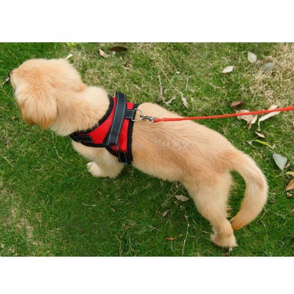 Dog Walking Adjustable Harness Vest