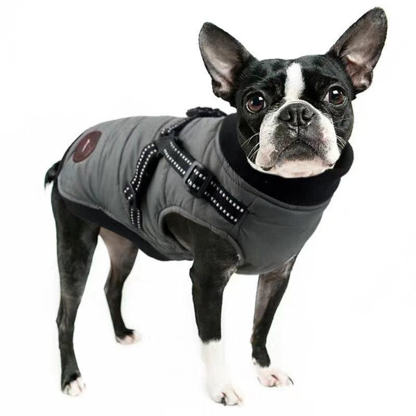Padded Harness Dog Vest