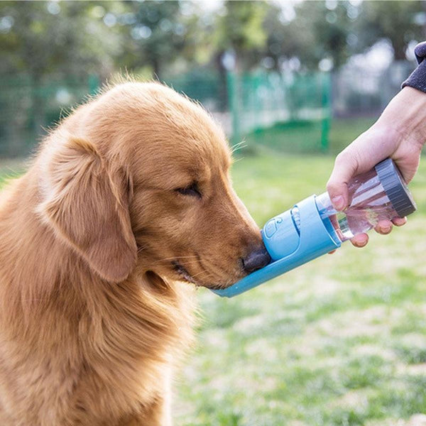 The Palo™ Doggy Water Bottle
