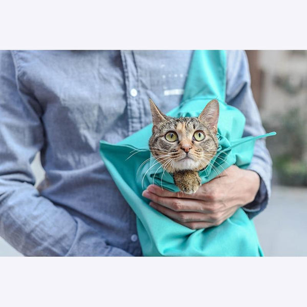 Portable Safety Carrier Cat Bag