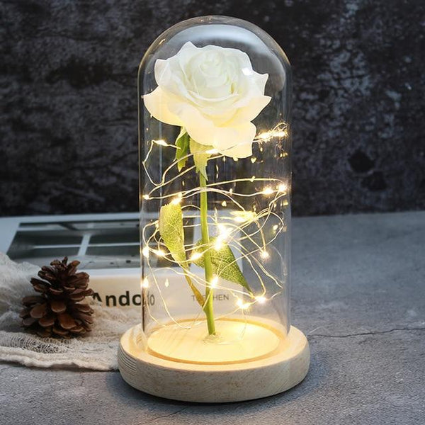 The Enchanted Rose Desktop Light Decor
