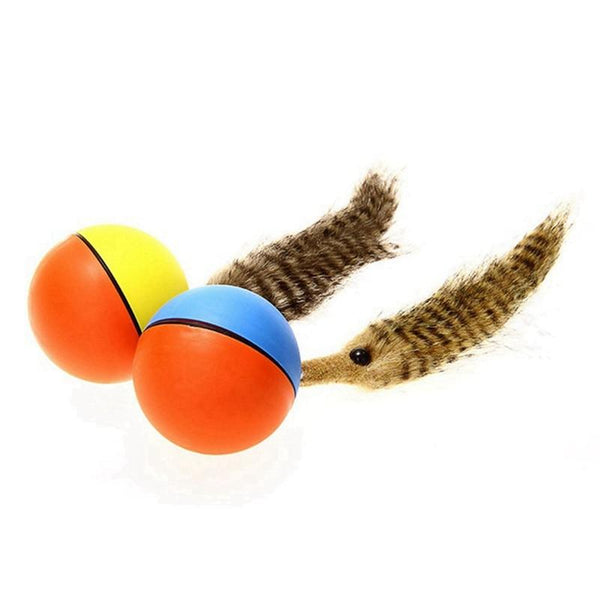 Cat Ball Teaser Toy