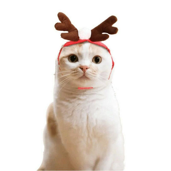 Christmas Pet Costumes
